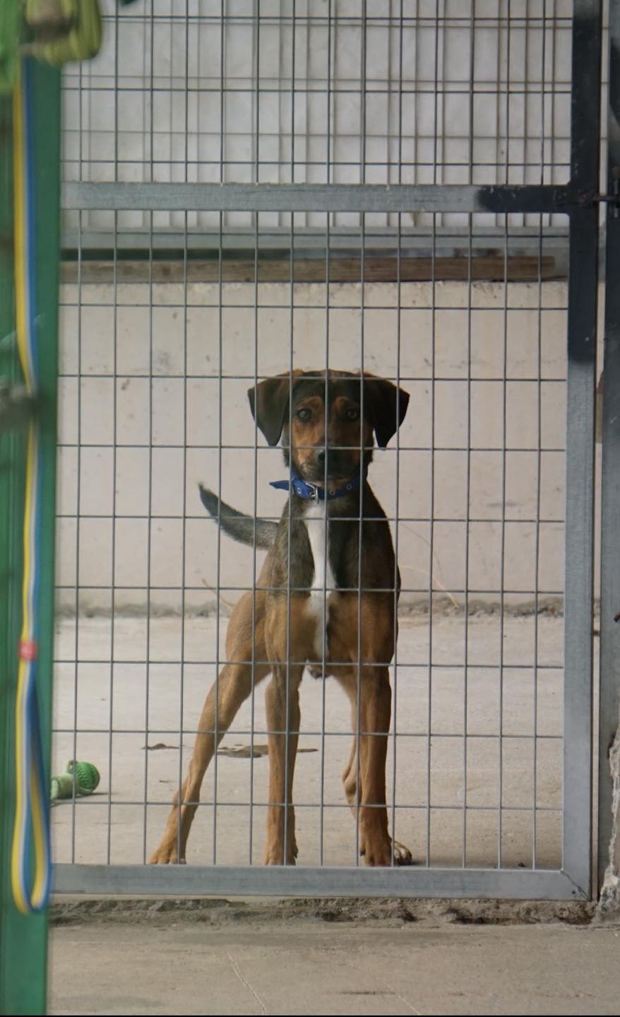 571201534_122156995886771468_6943007356264923247_n