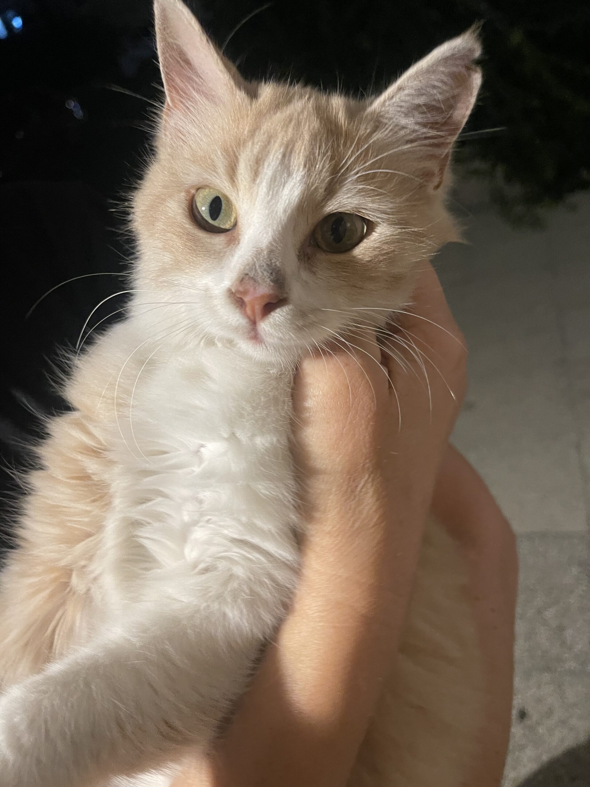 BF76784F-03B8-4AD0-8C0E-81D377892FC4