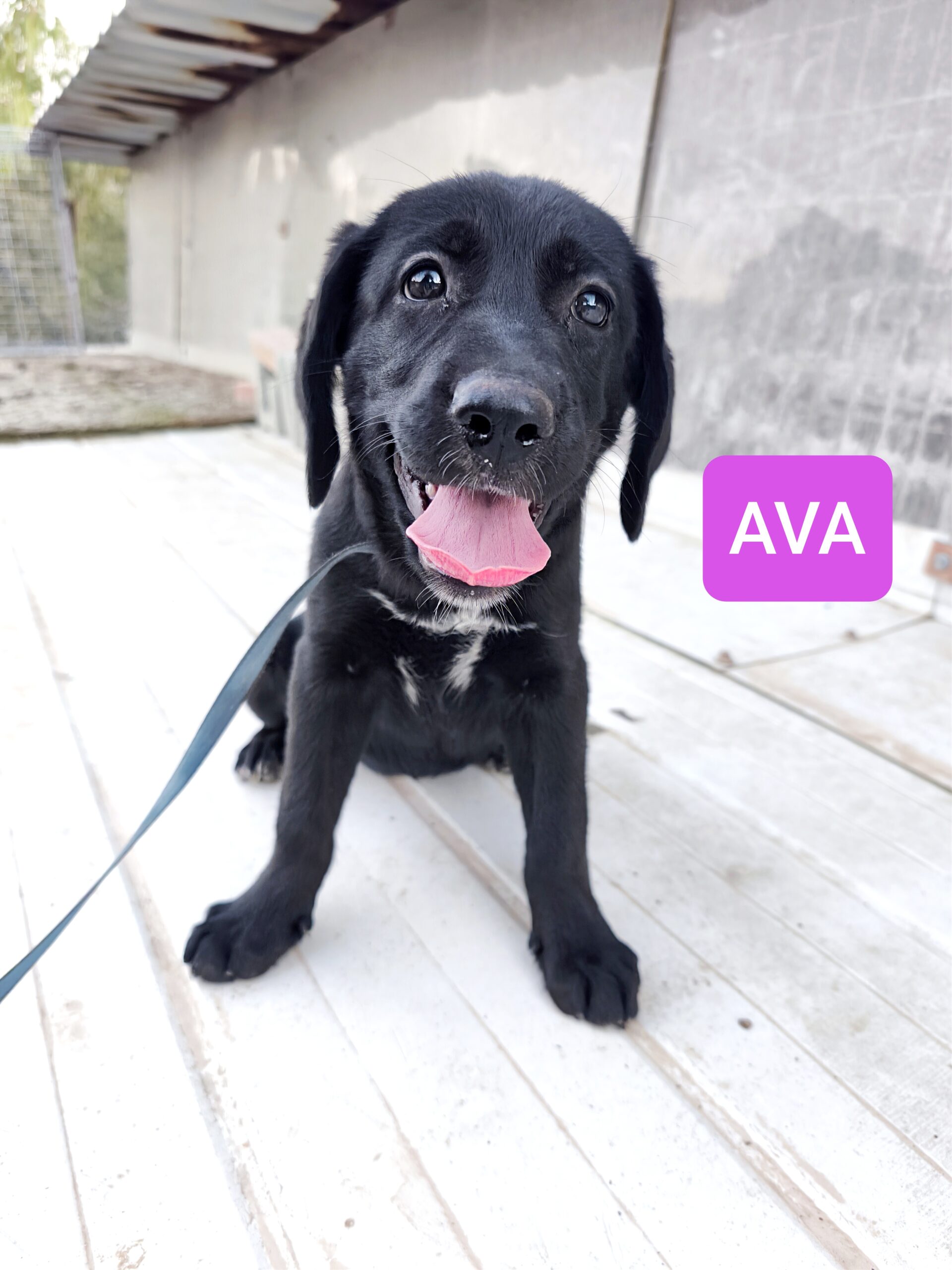 IMG_20251015_151559-1