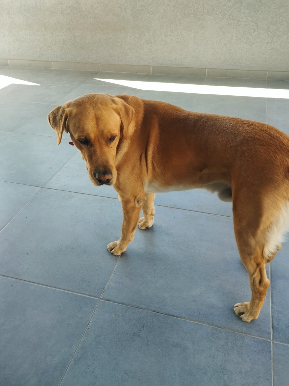 WhatsApp-Image-2025-09-27-at-16.19.22-1