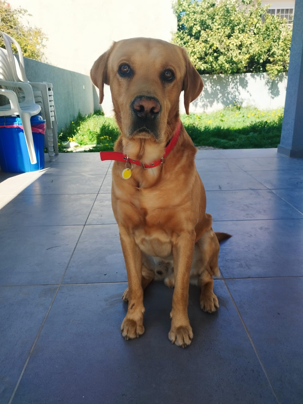 WhatsApp-Image-2025-09-27-at-16.19.22-2