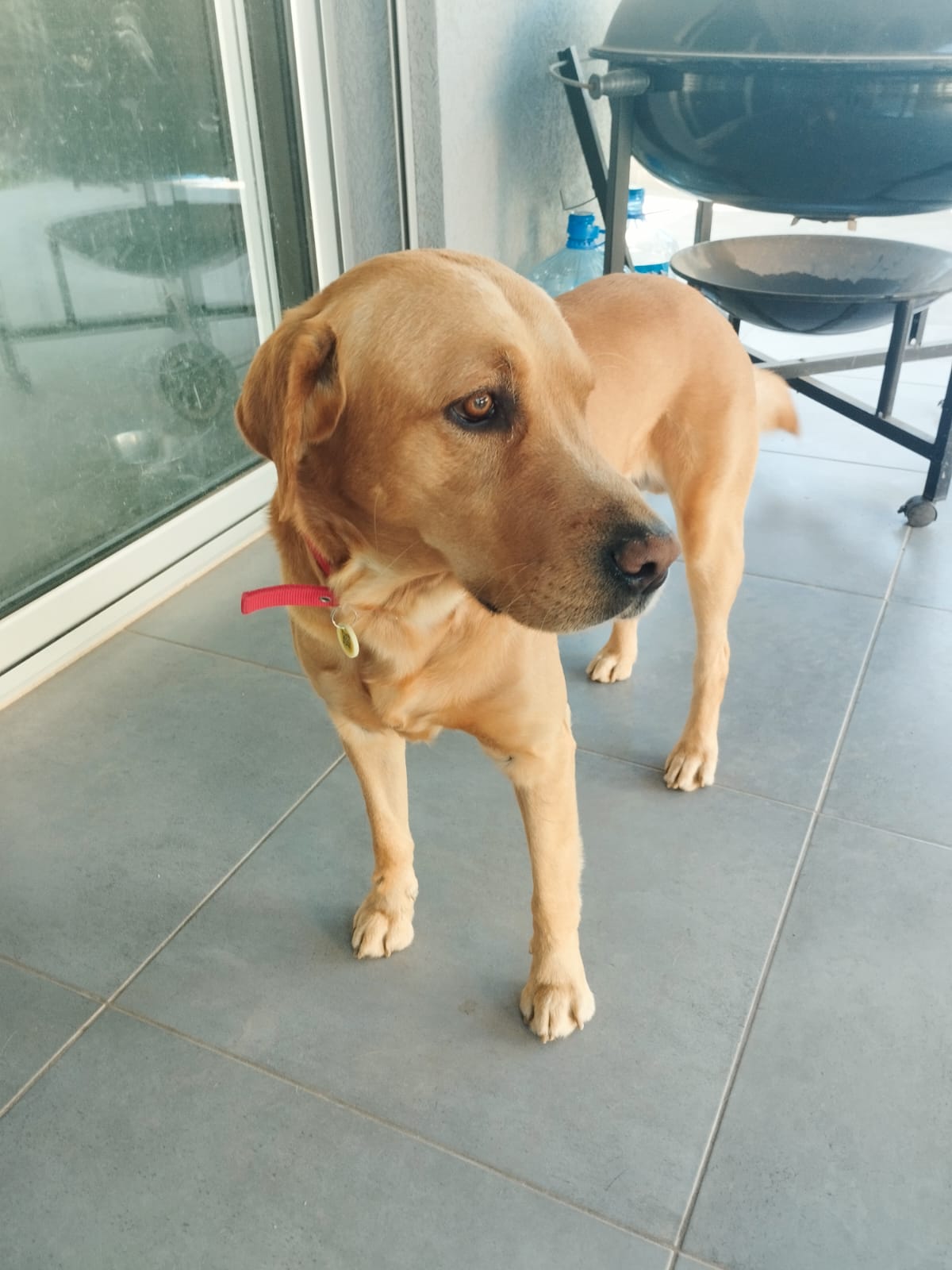 WhatsApp-Image-2025-09-27-at-16.19.22