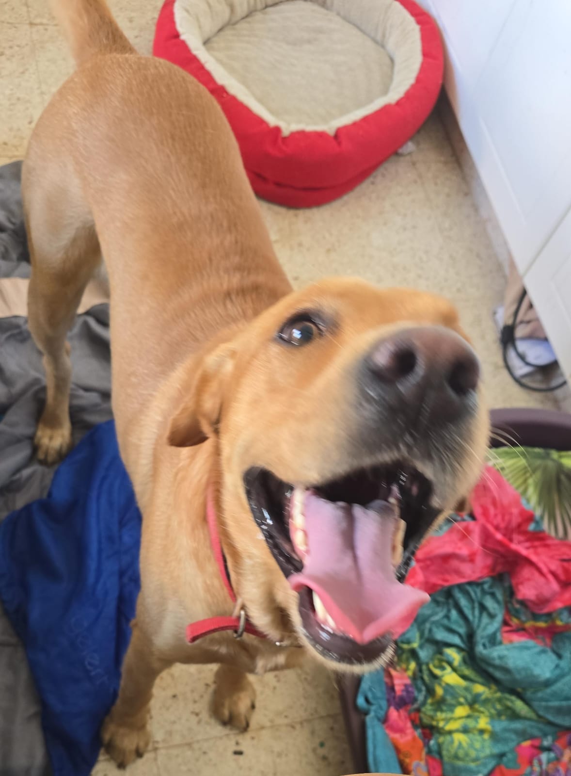 WhatsApp-Image-2025-10-02-at-10.07.21