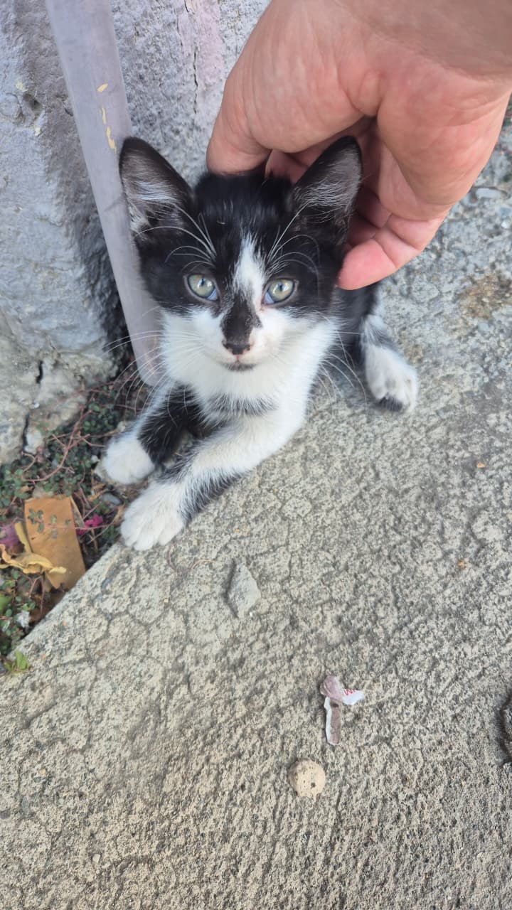 WhatsApp-Image-2025-10-02-at-13.51.03