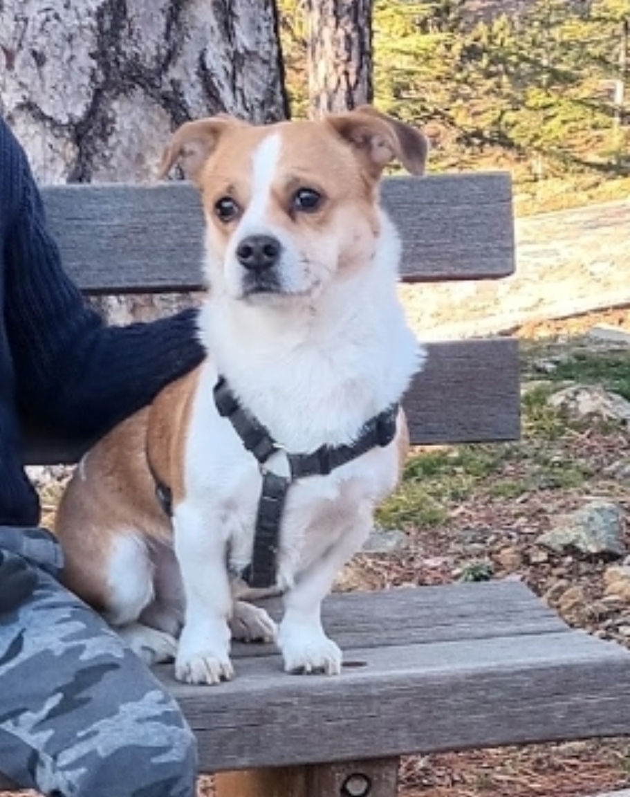 inbound5260048097517840291