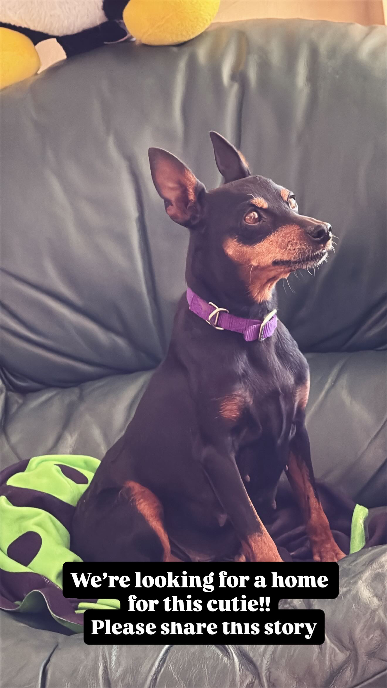 0E4CB62B-2B50-49E3-ADA8-0AEB199E5A7D