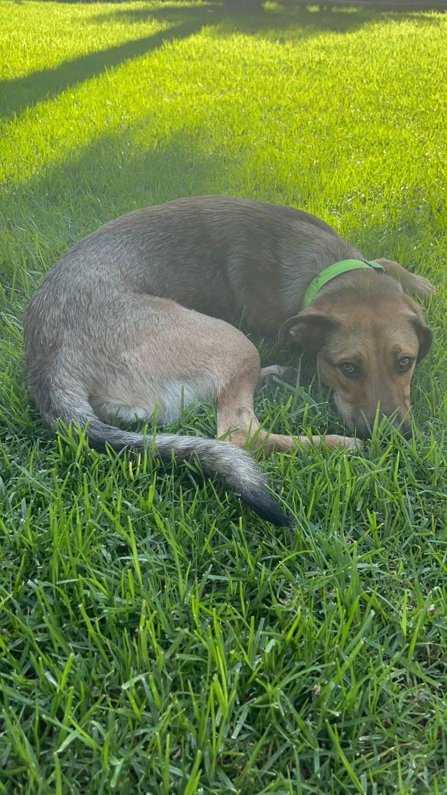 0ac0d0f3-6e65-46f4-bedc-d2f948a080f0