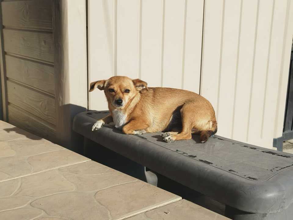 14a8a7c6697ace4a0909059aa49f2ed6