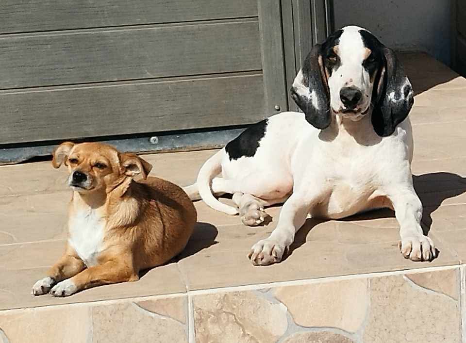 4ea4979d3ddd35bf82938b29e5ca390b