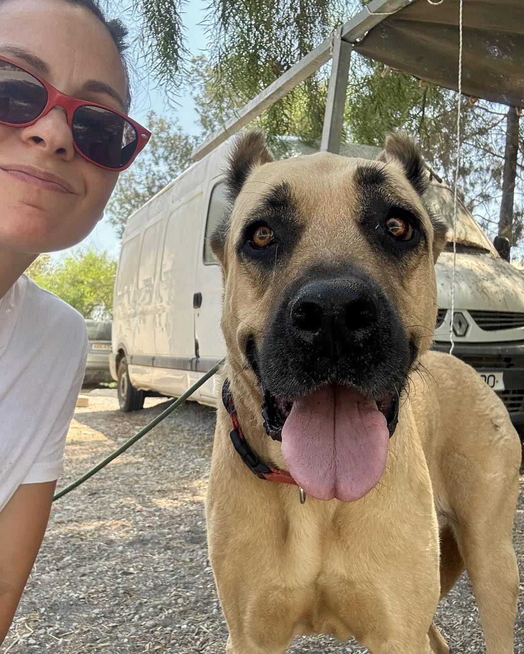 569341893_831308579412321_635279703101242530_n