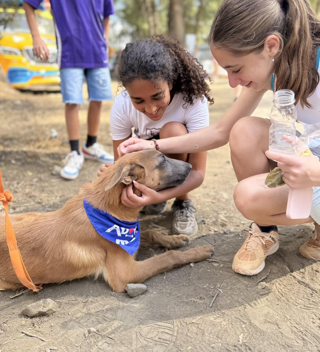 570172817_827144946495351_7851062533504071027_n