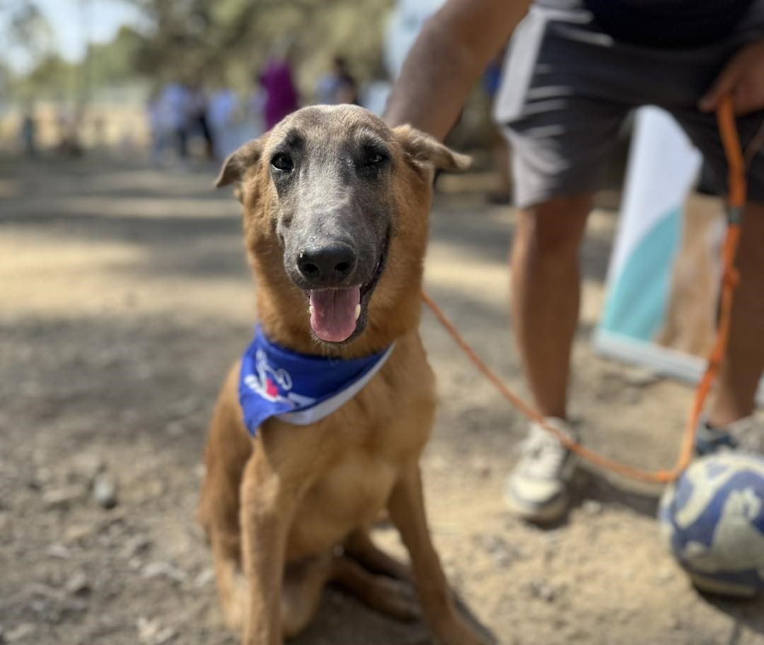 570895530_827144916495354_7361734851031738383_n