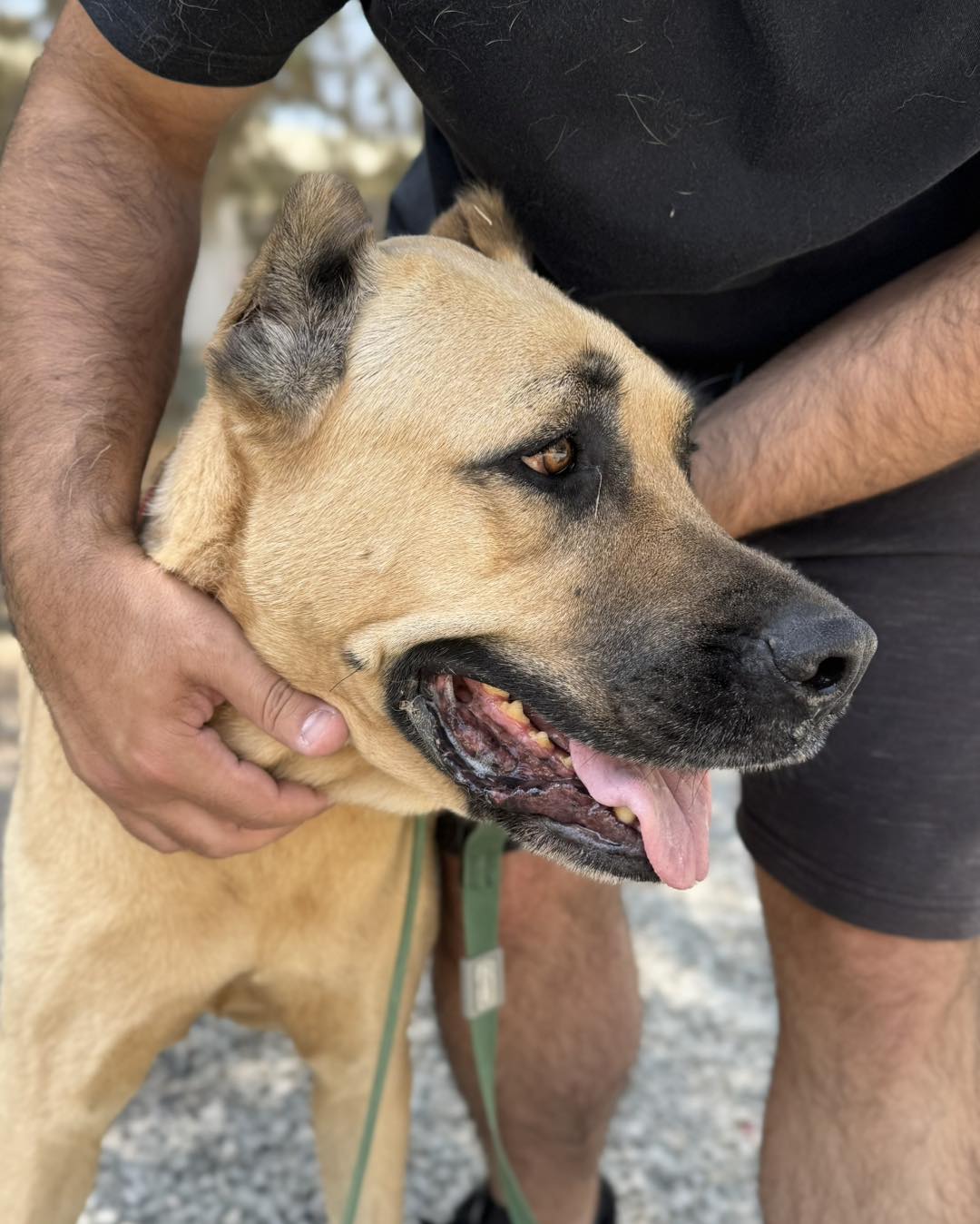 571163725_831308509412328_1521683003527345040_n