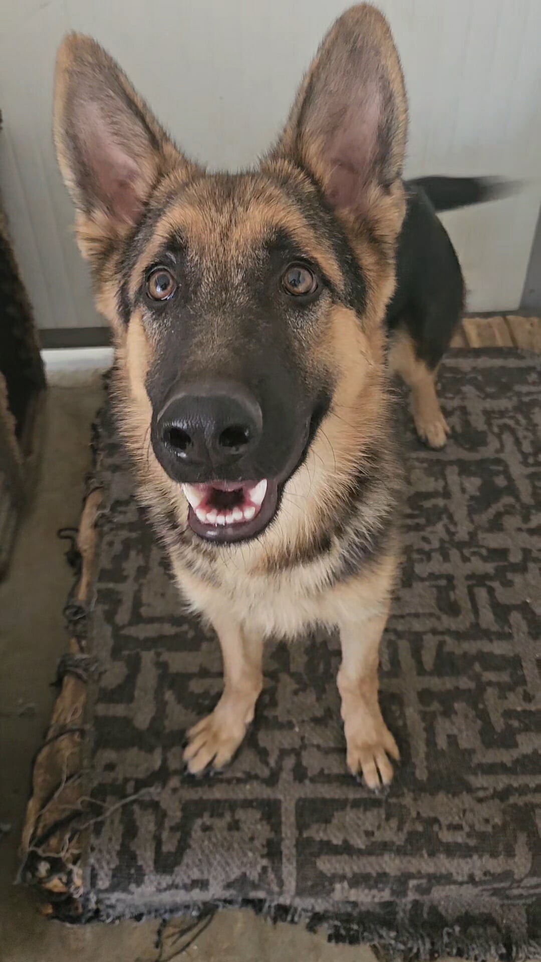 571267695_1251910300311286_7462315408735206265_n