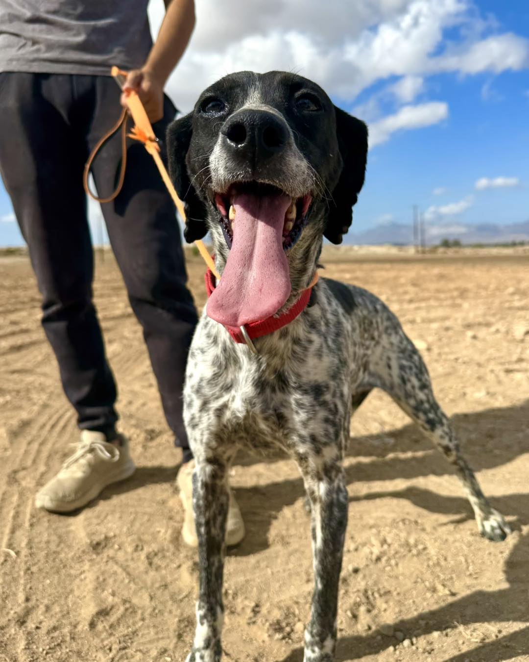 571327848_832946555915190_2243842097820946533_n