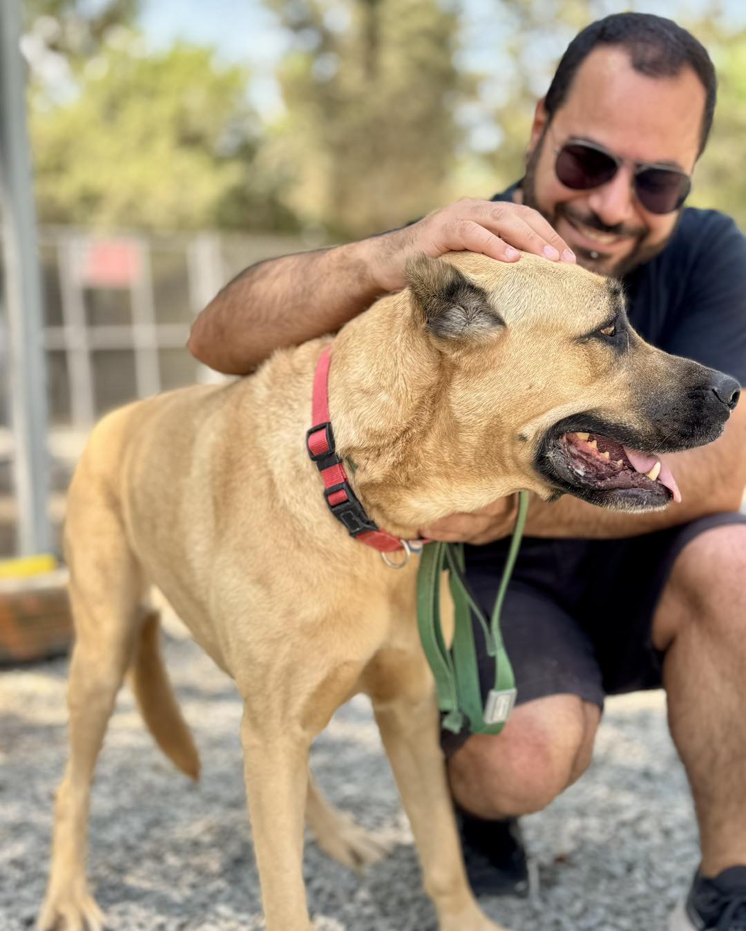 571333207_831308539412325_8527547503681217086_n