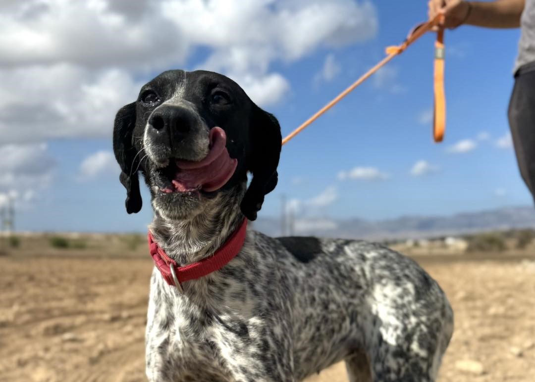 571346818_832946579248521_4374136251182613649_n