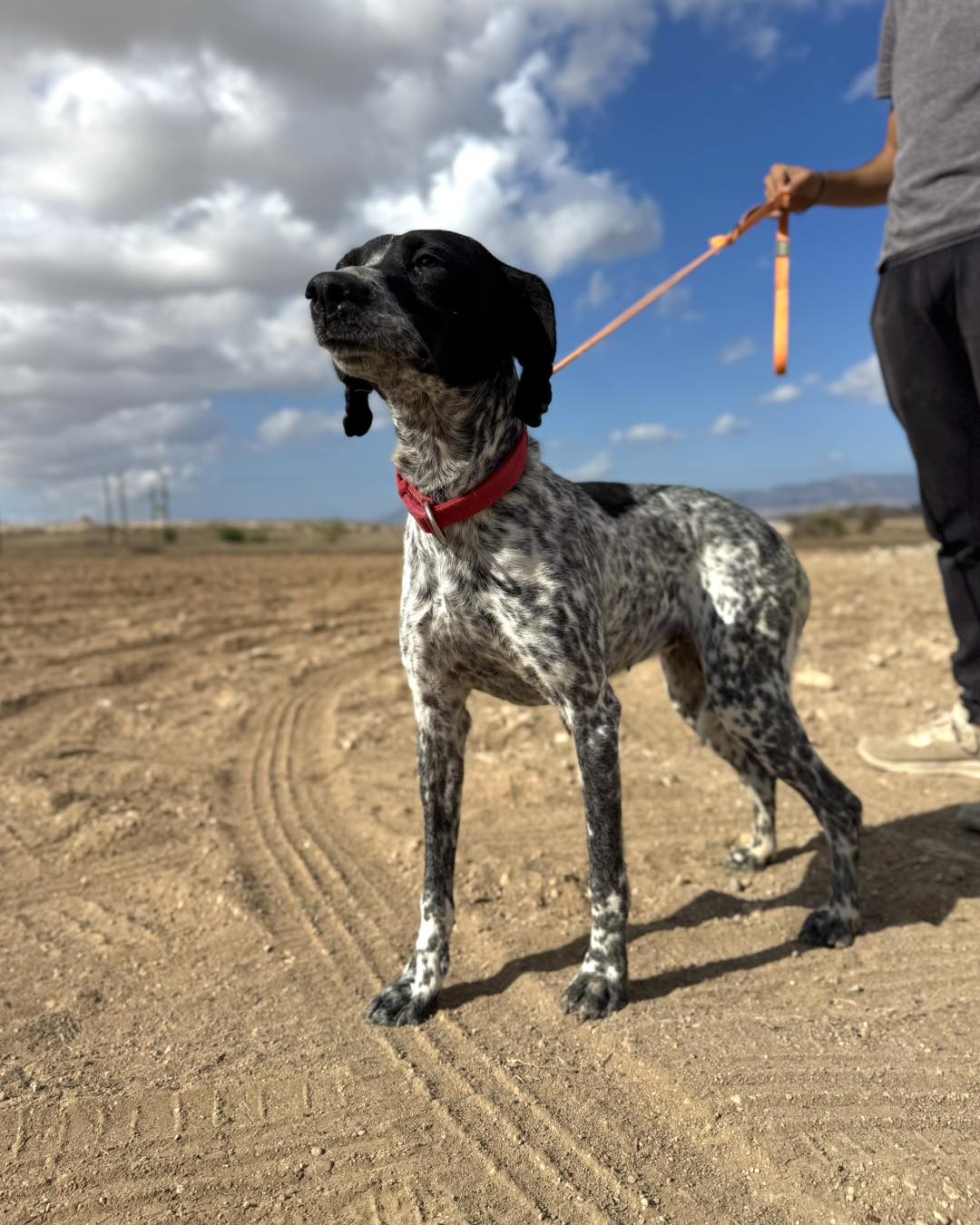 573046861_832946619248517_7361736217569857345_n