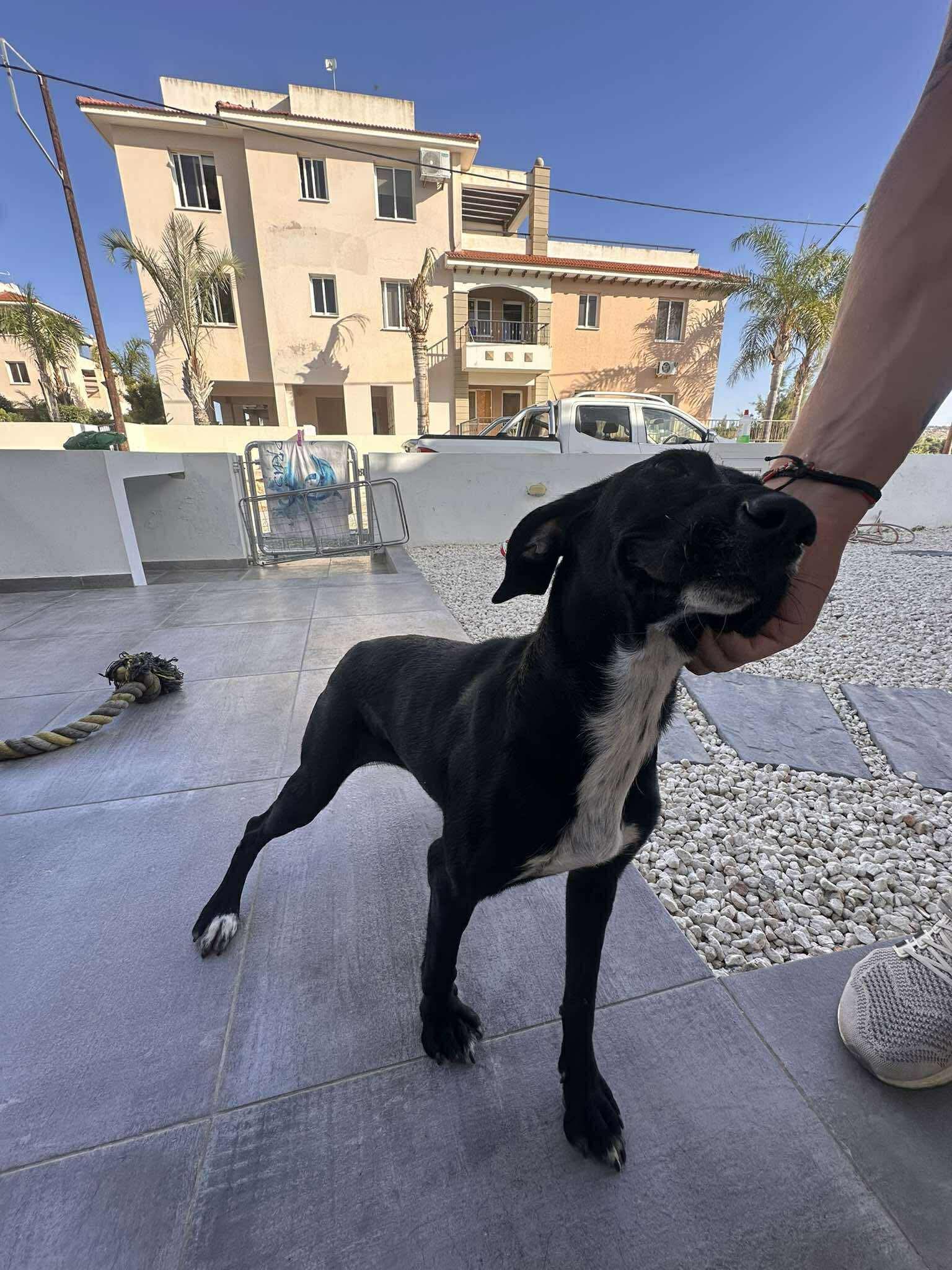 573913690_901243788892757_8805915134155602497_n