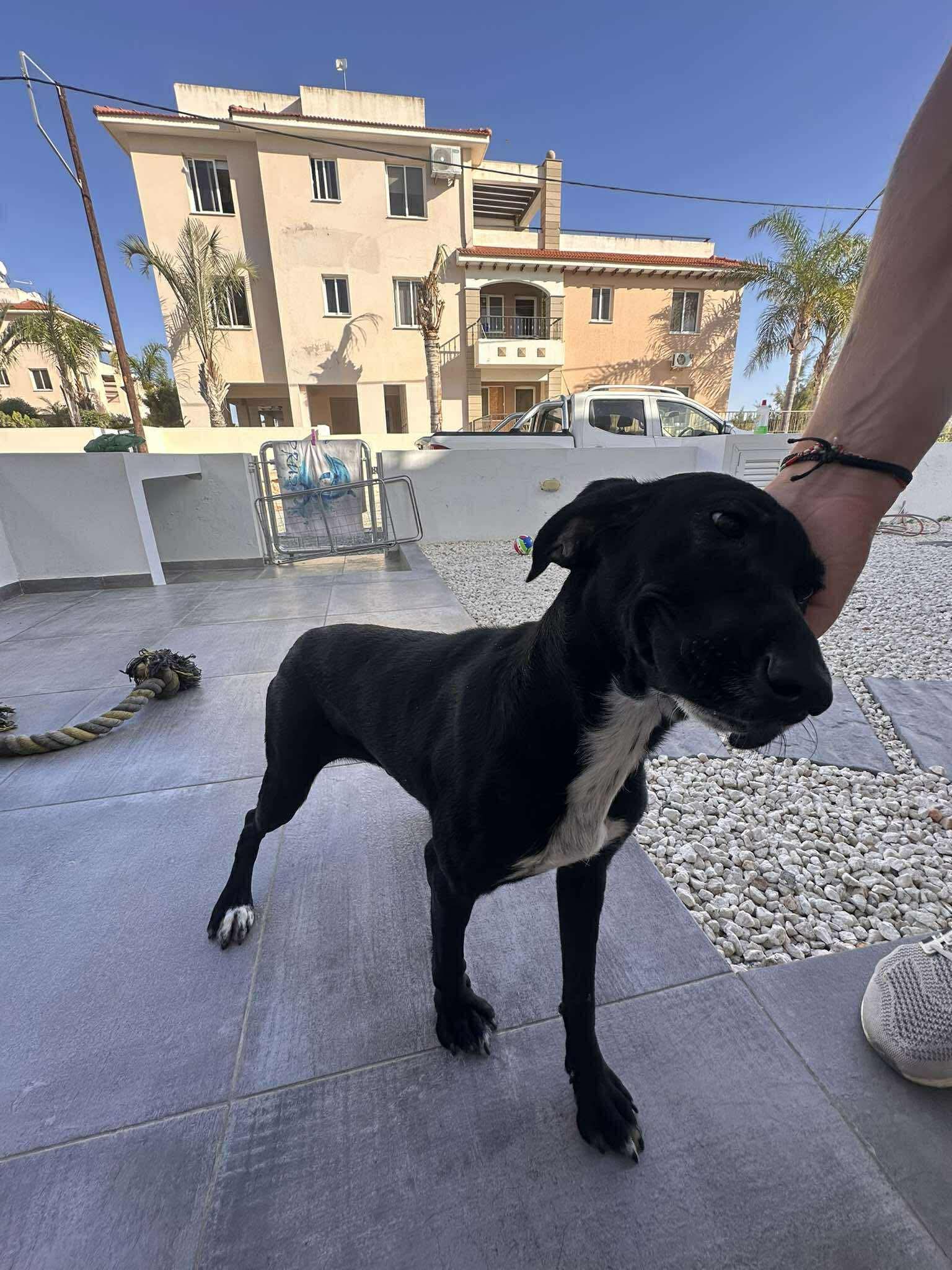 573934945_901243822226087_4331257818120645260_n