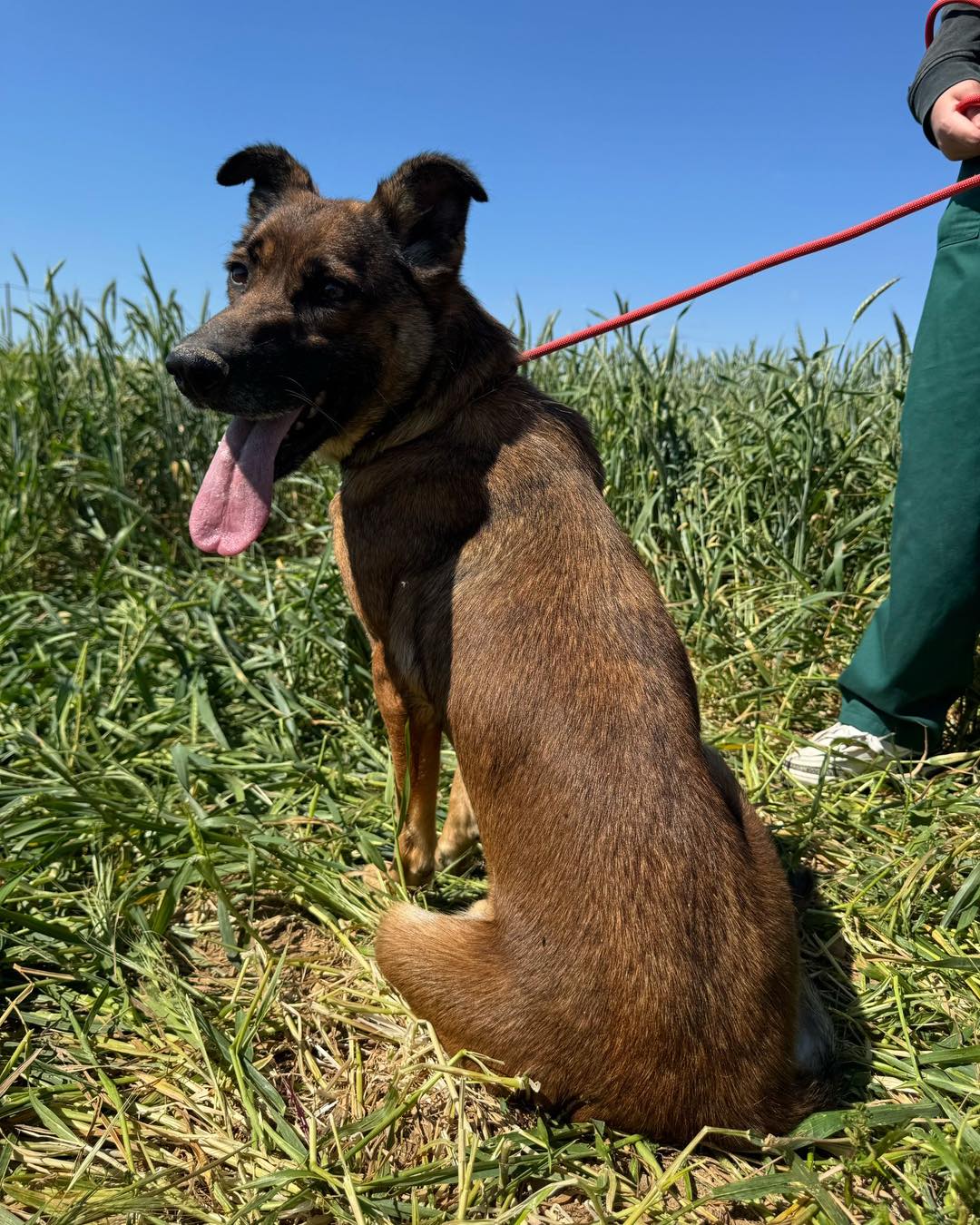 574241291_837799332096579_1594658600456648734_n