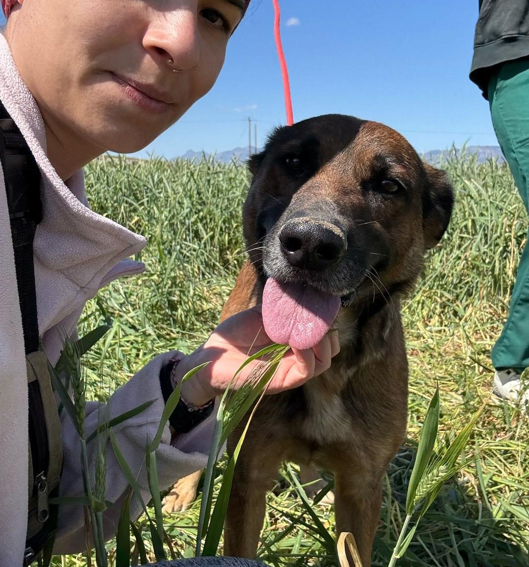 574343317_837799292096583_7723507075054769987_n