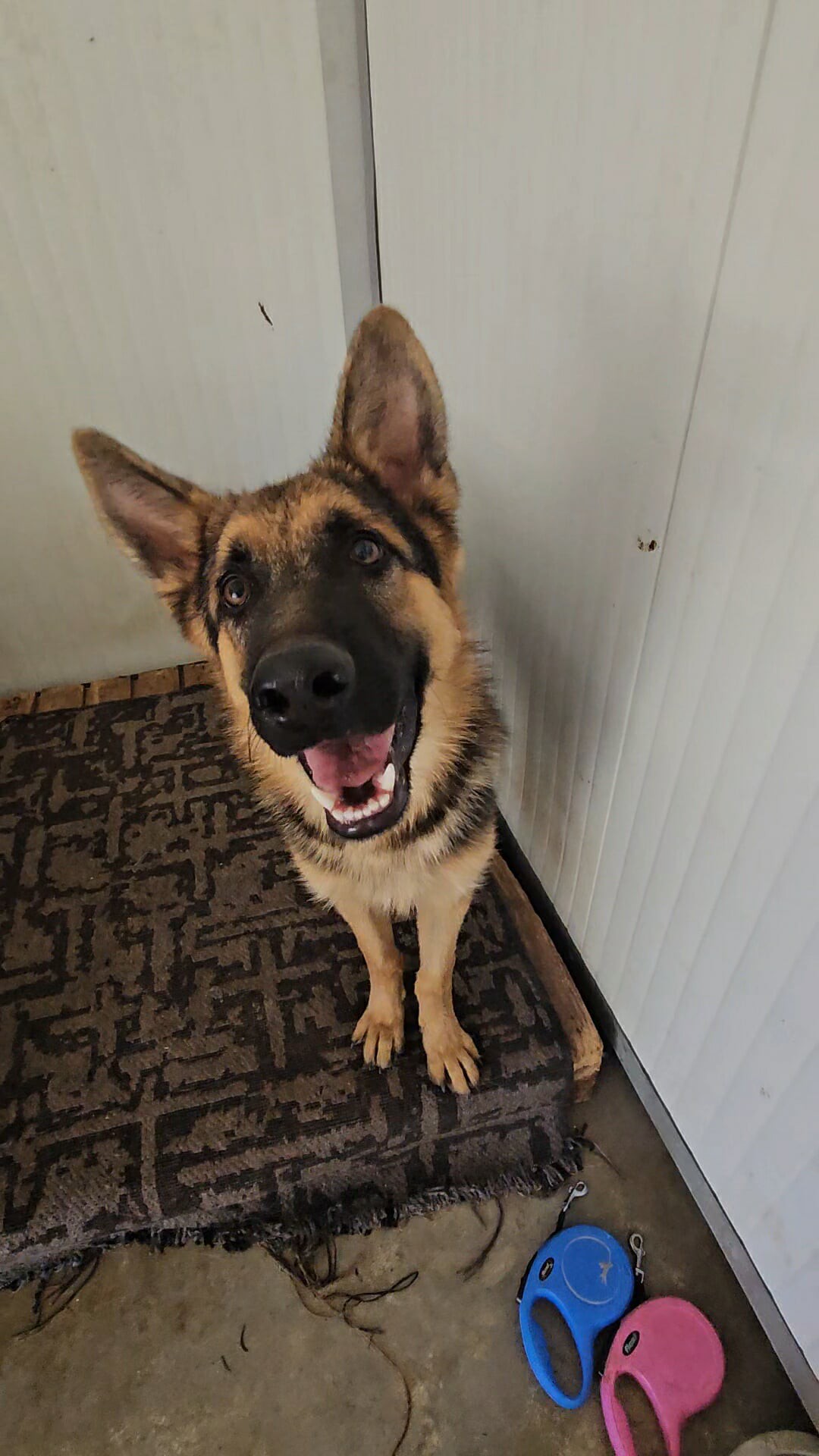 574392905_1251910403644609_9054126286747560454_n