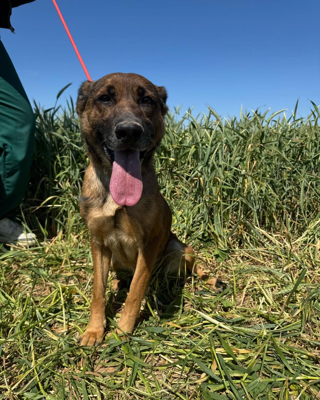 574572347_837799288763250_8151374506330500418_n