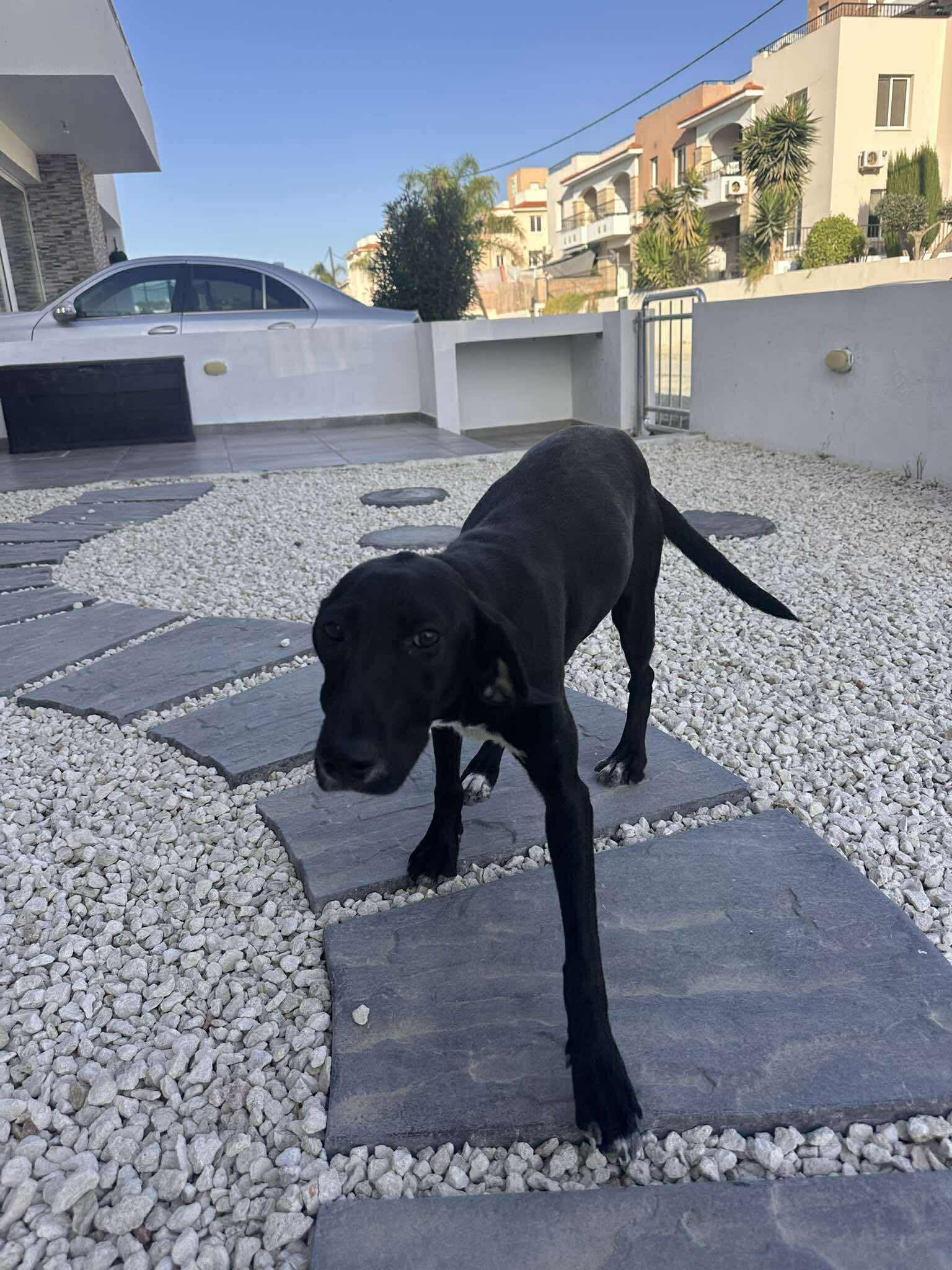 575115663_901243795559423_8907913000705496844_n