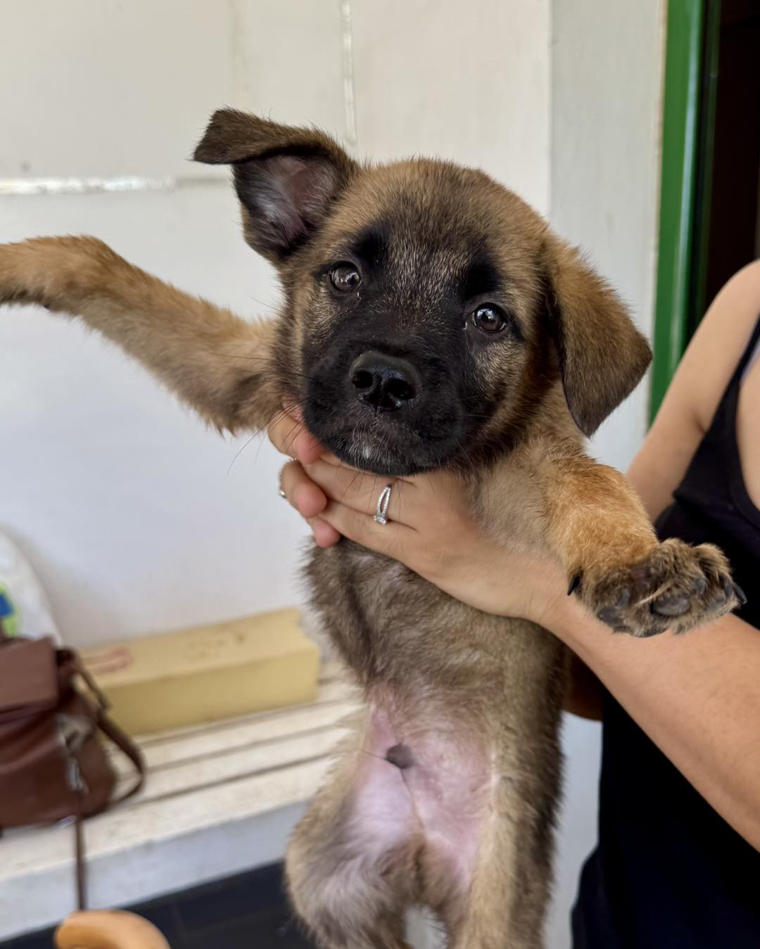 575172310_839474408595738_626020212732829719_n