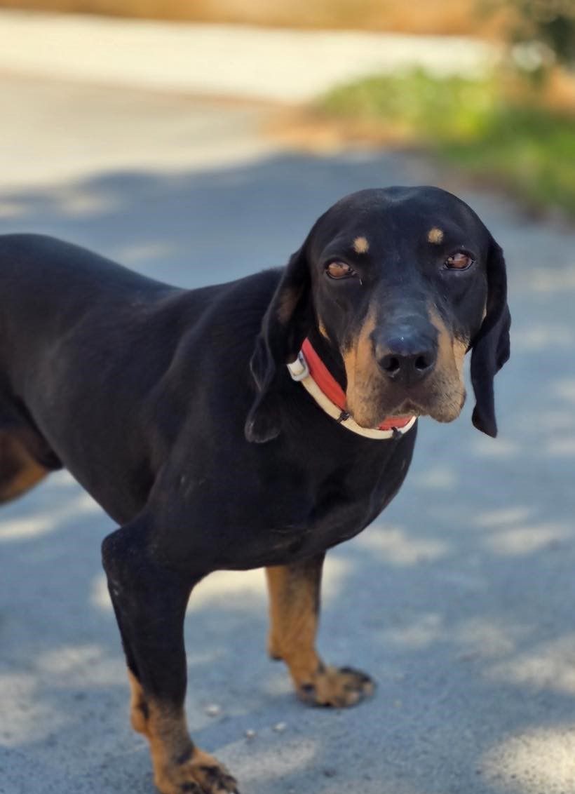 576657656_122158181270771468_8720430218822643284_n