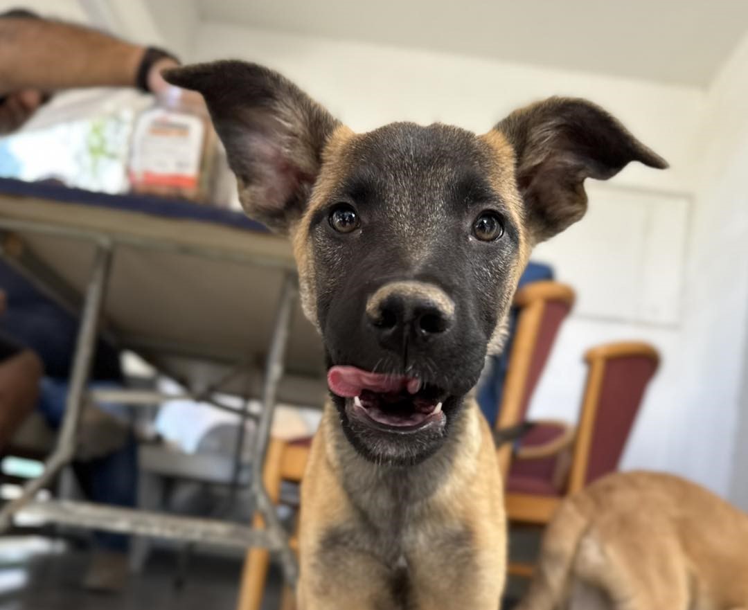 576939010_839474405262405_4056530032392983331_n