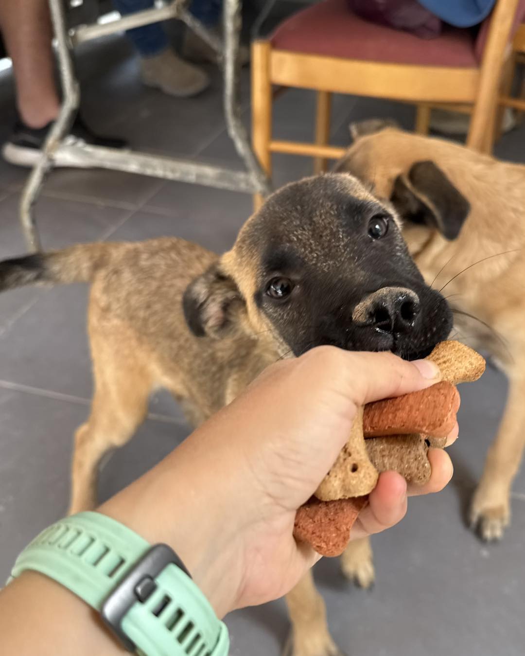 577543280_839474415262404_4945963476311475647_n