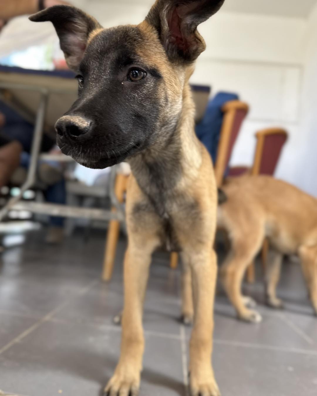 577808643_839474411929071_4223222372758176398_n