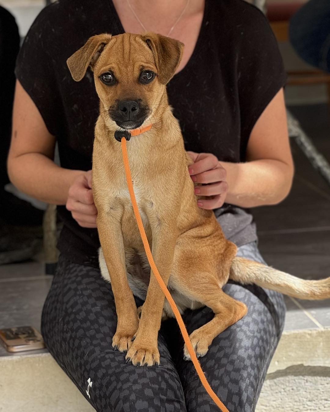 580568288_843629048180274_3478658951204549094_n