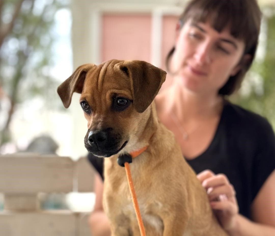 581030368_843629058180273_1854876038318334451_n