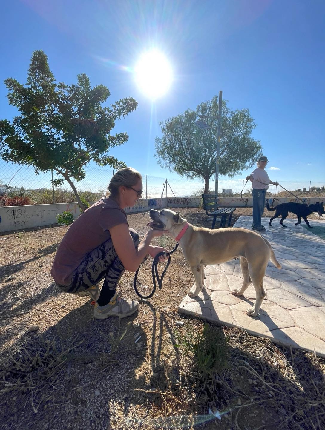 582535398_122159787116771468_7694316444839299889_n