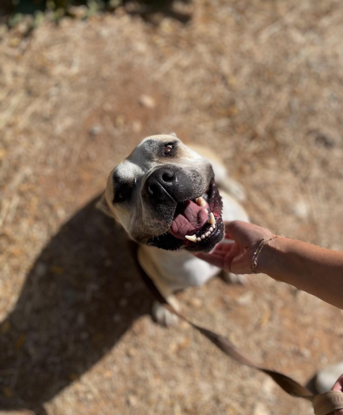 582850707_122159787092771468_916444616622256643_n