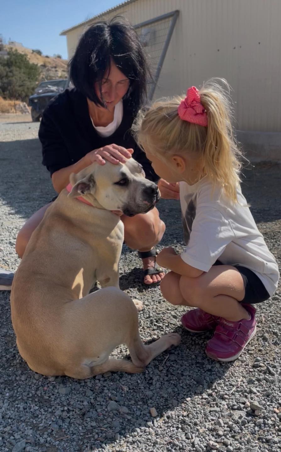 583327044_122159787098771468_1511415408579255943_n