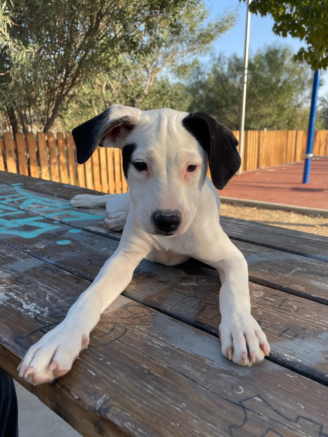 584886939_122160165770771468_8229527657515882895_n