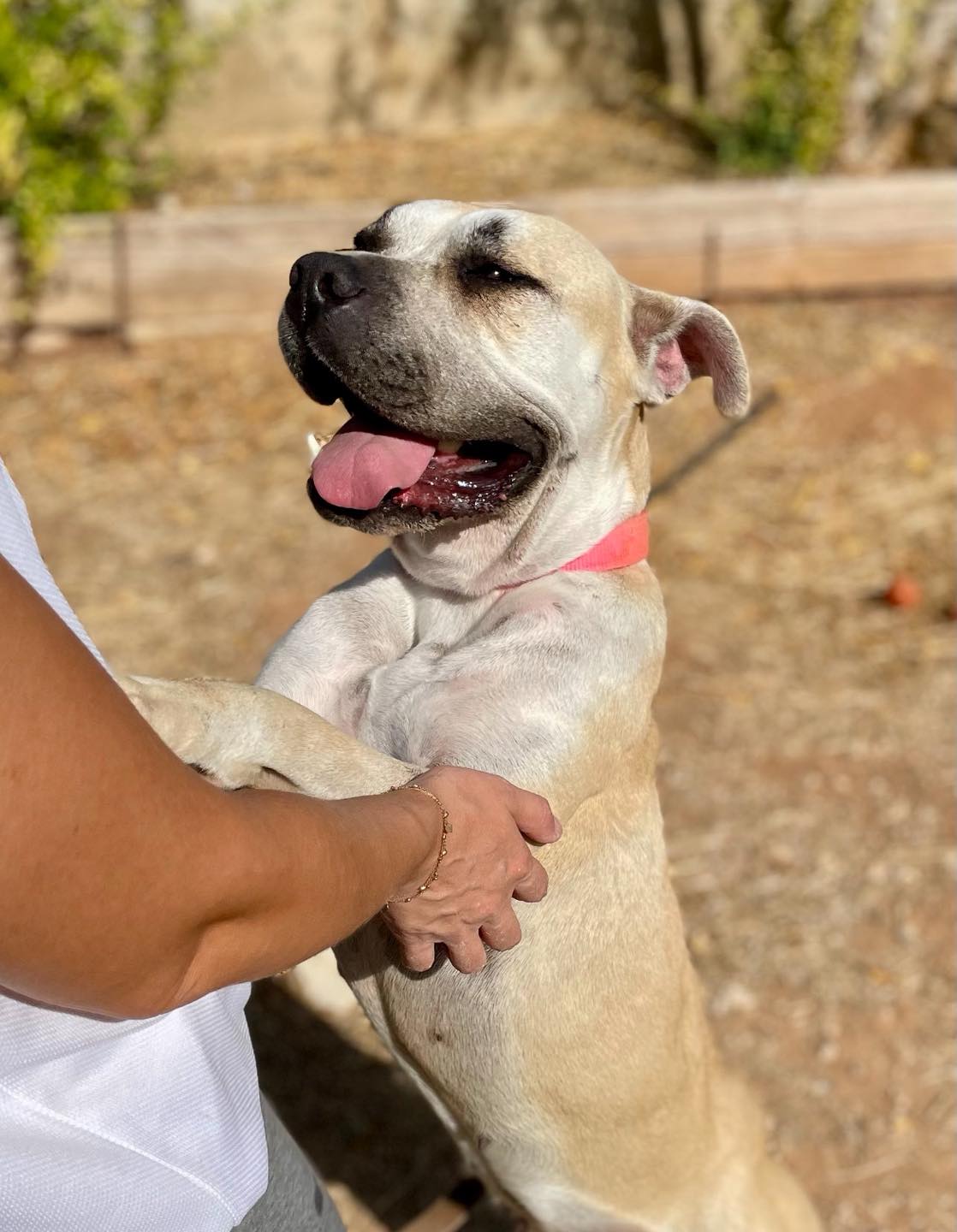 585499420_122159787110771468_2621383389958334848_n