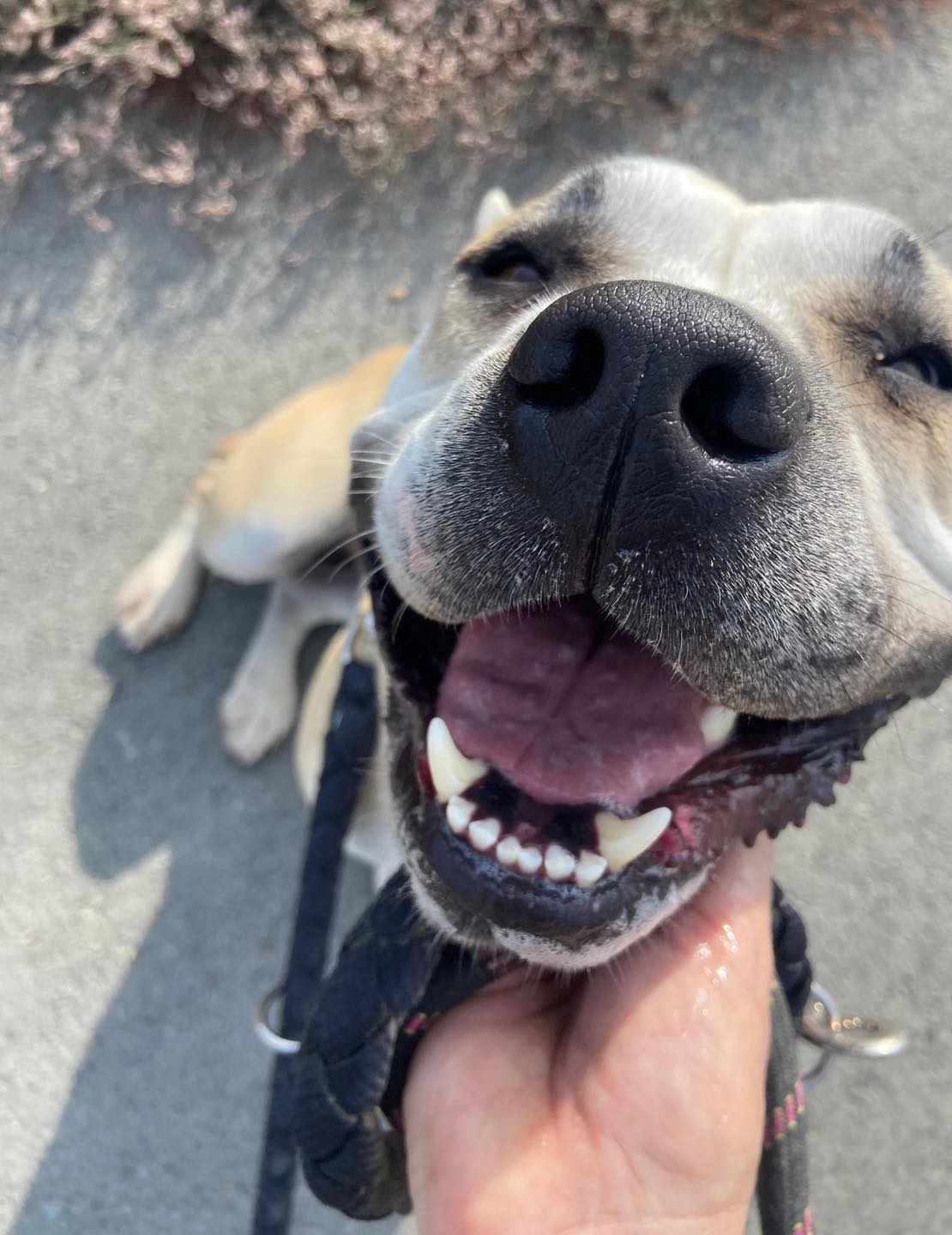 586534428_122159787104771468_7517385642642010629_n