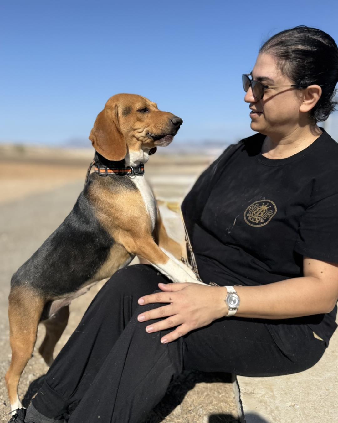 586641950_854287267114452_872691181521949570_n