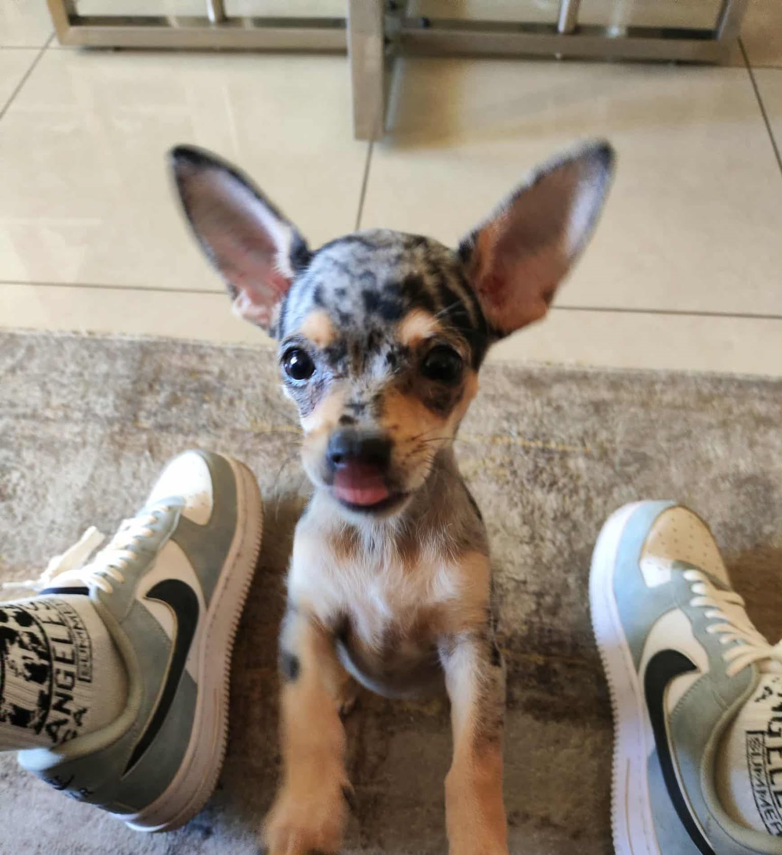 587014393_918628720487597_1018727702632889644_n-1