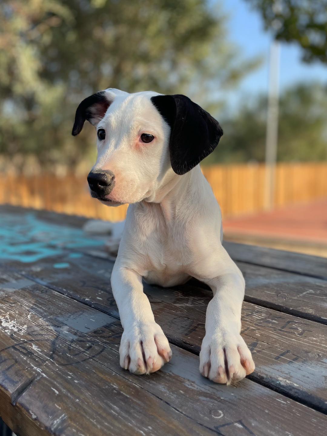 587245408_122160165740771468_6494019592363753051_n