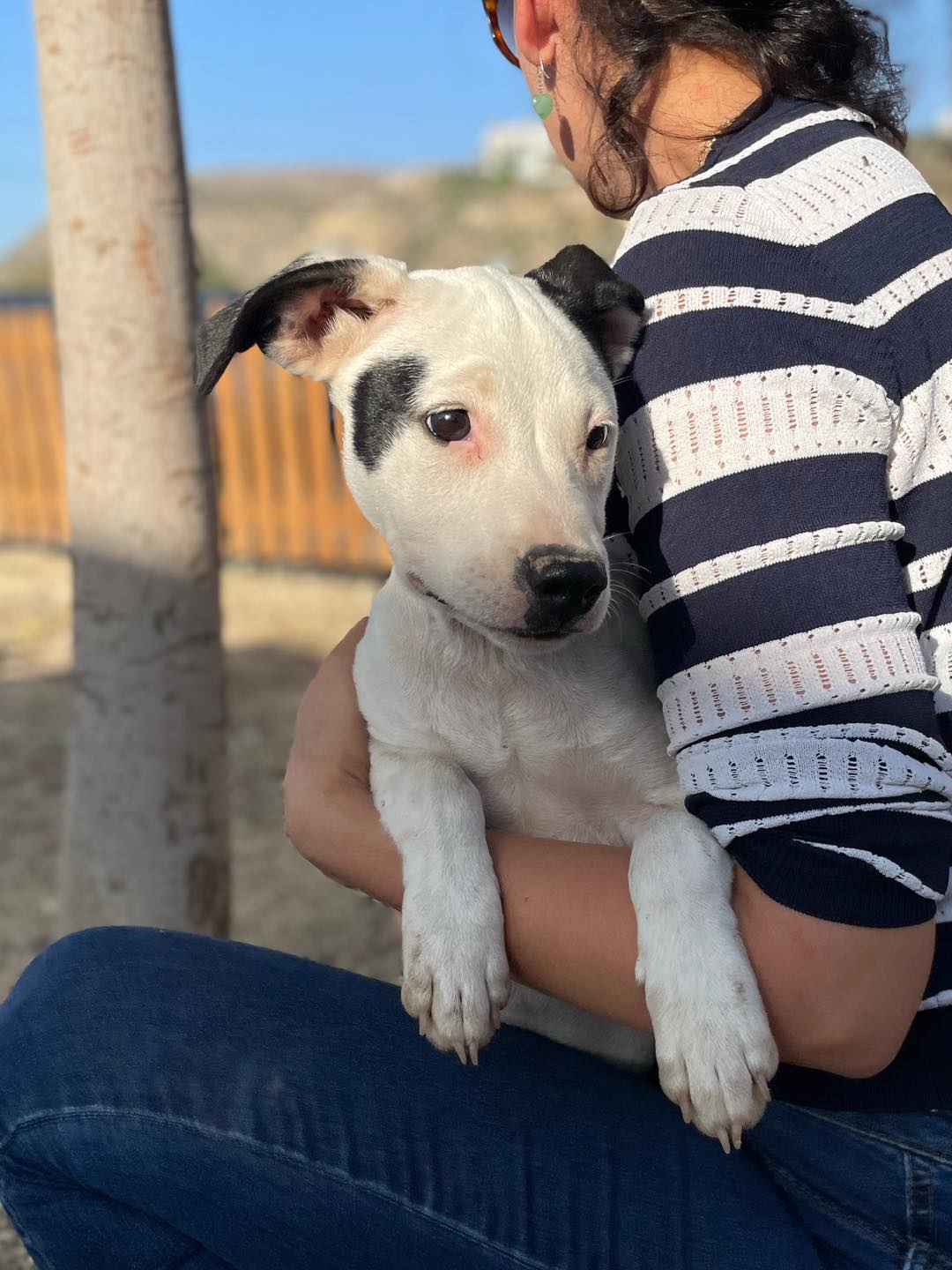 587269447_122160165752771468_1190677305946790418_n