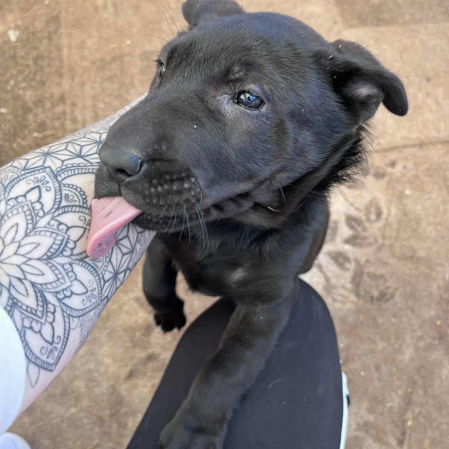 587464474_18311018536301739_1314965075534926391_n