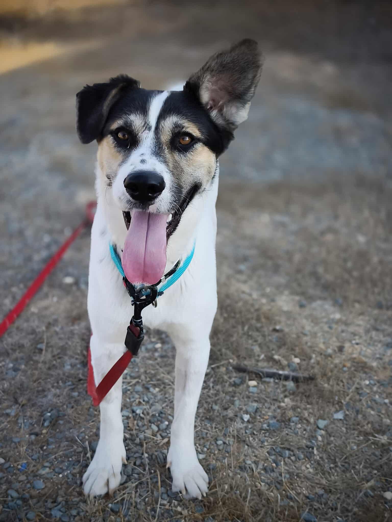 587534677_1274130091422640_2259539630554728575_n