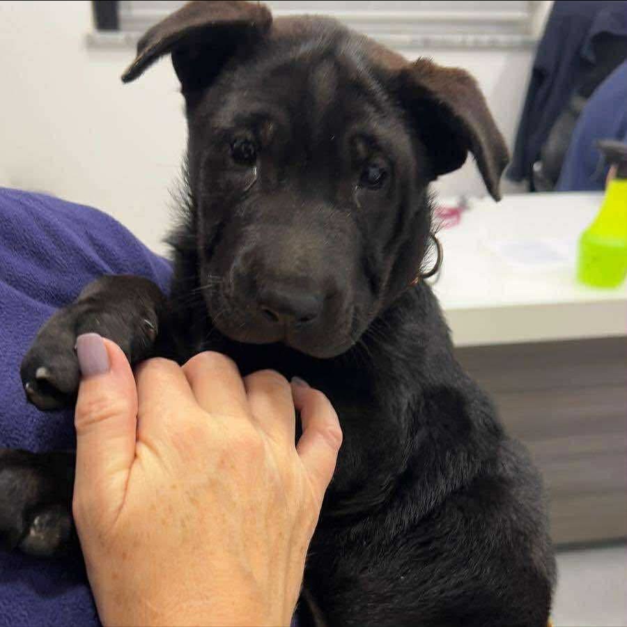 587595931_18311018515301739_60284982645612672_n