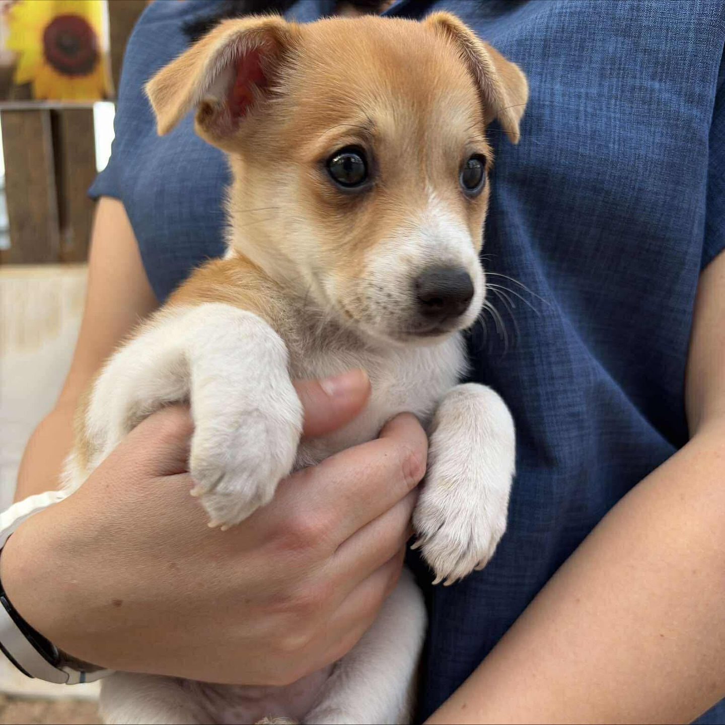 587698350_18310549660301739_4377925269928592371_n